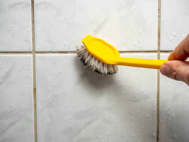 Best Mold Remediation for Schools in Diand, MO