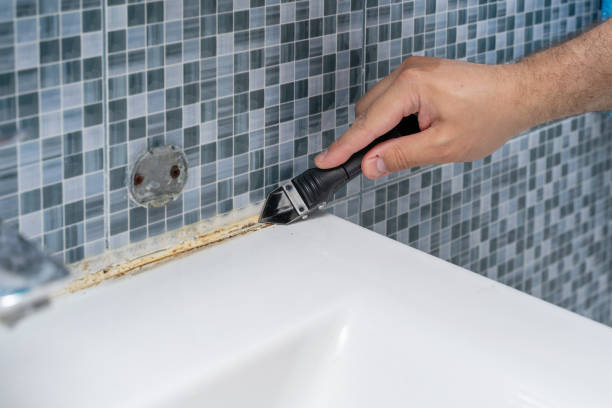 Trusted Diamond, MO Mold Remediation Experts